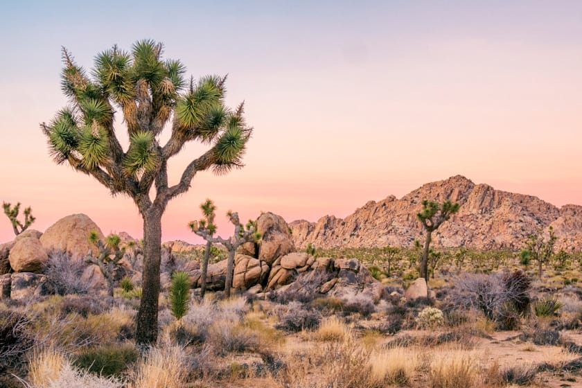 Mojave dessert mountains and smoky pink clouds